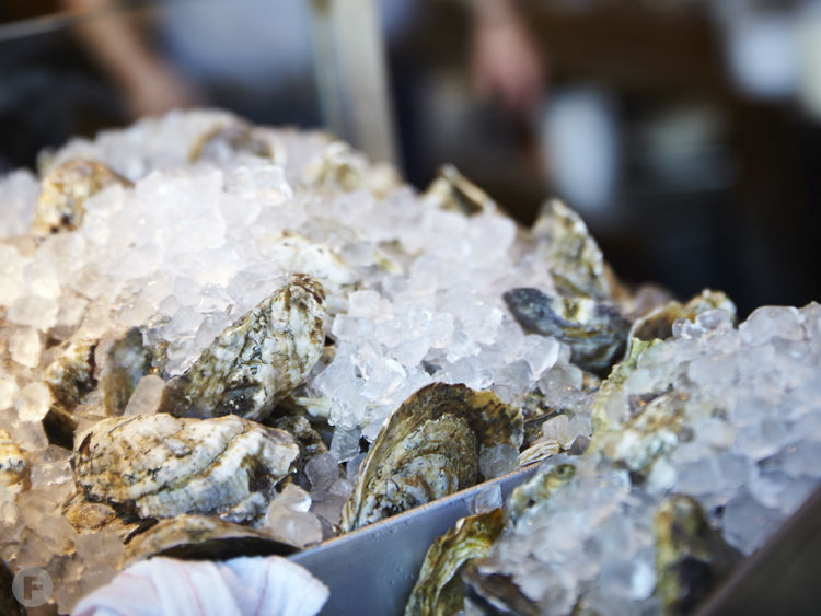 Jax Fish House & Oyster Bar