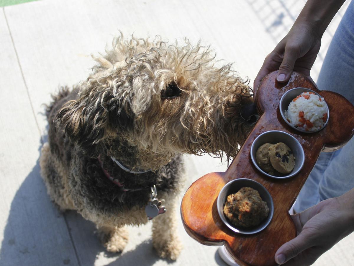 Bar K To Open A Massive Dog Friendly Bar And Restaurant In St Louis This Winter St Louis Feastmagazine Com