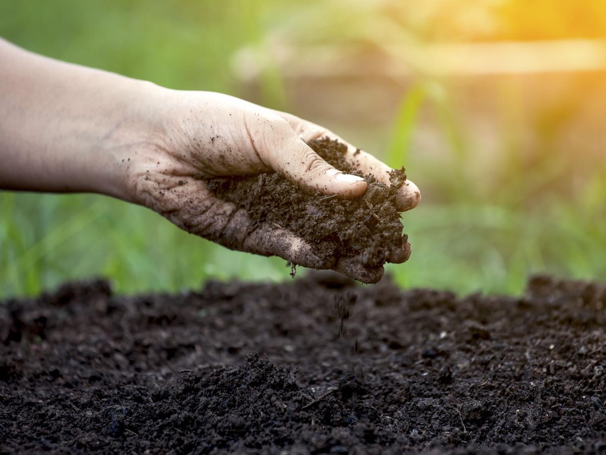 Topography and Drainage of Your Garden