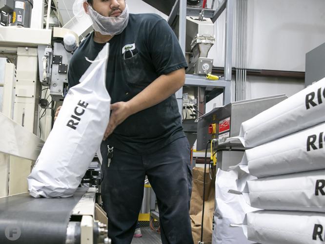 After a Devastating Tornado, McKaskle Family Farm Transformed into Missouri's Only Organic Rice Farm