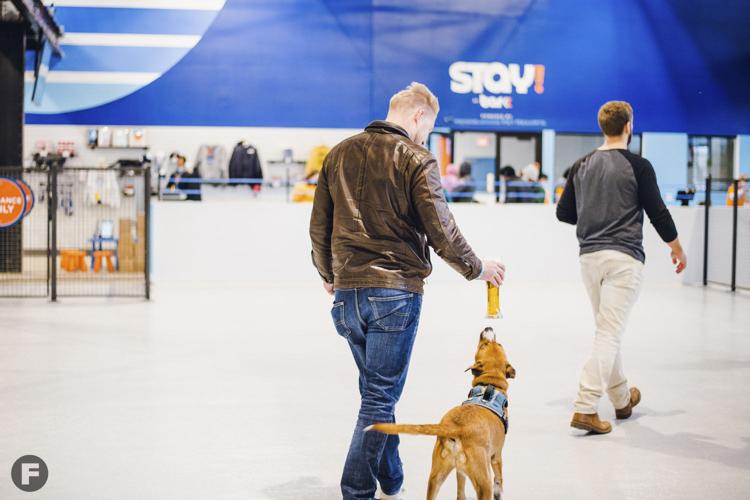 Bar K indoor dog and beer