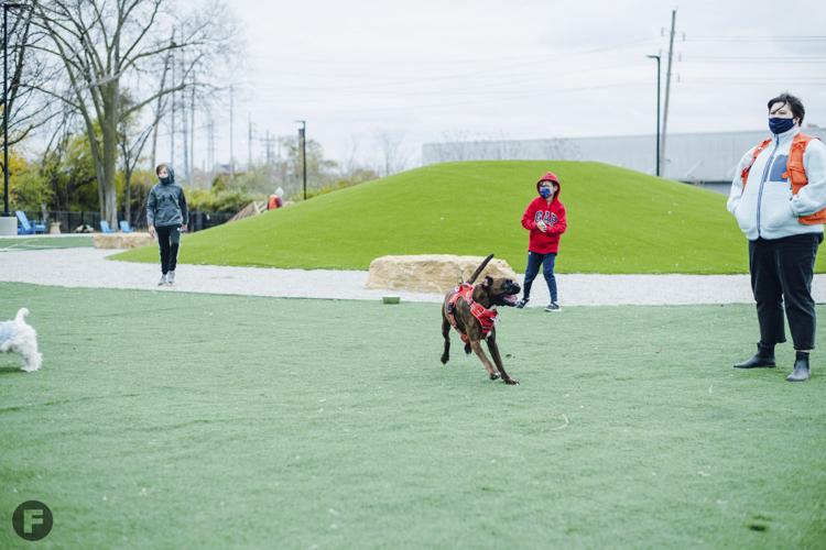 Bar K outdoor dog park