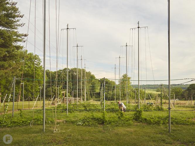 Rolling Meadows Farm Brewery Brews Unique and HyperLocal Craft Beer in Central Illinois