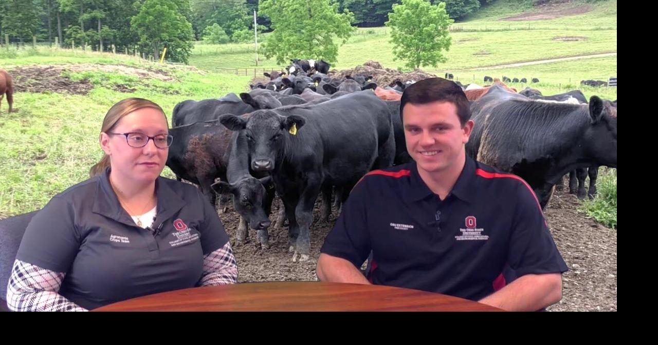 10 Common Questions Producers Have When Starting Grazing Livestock