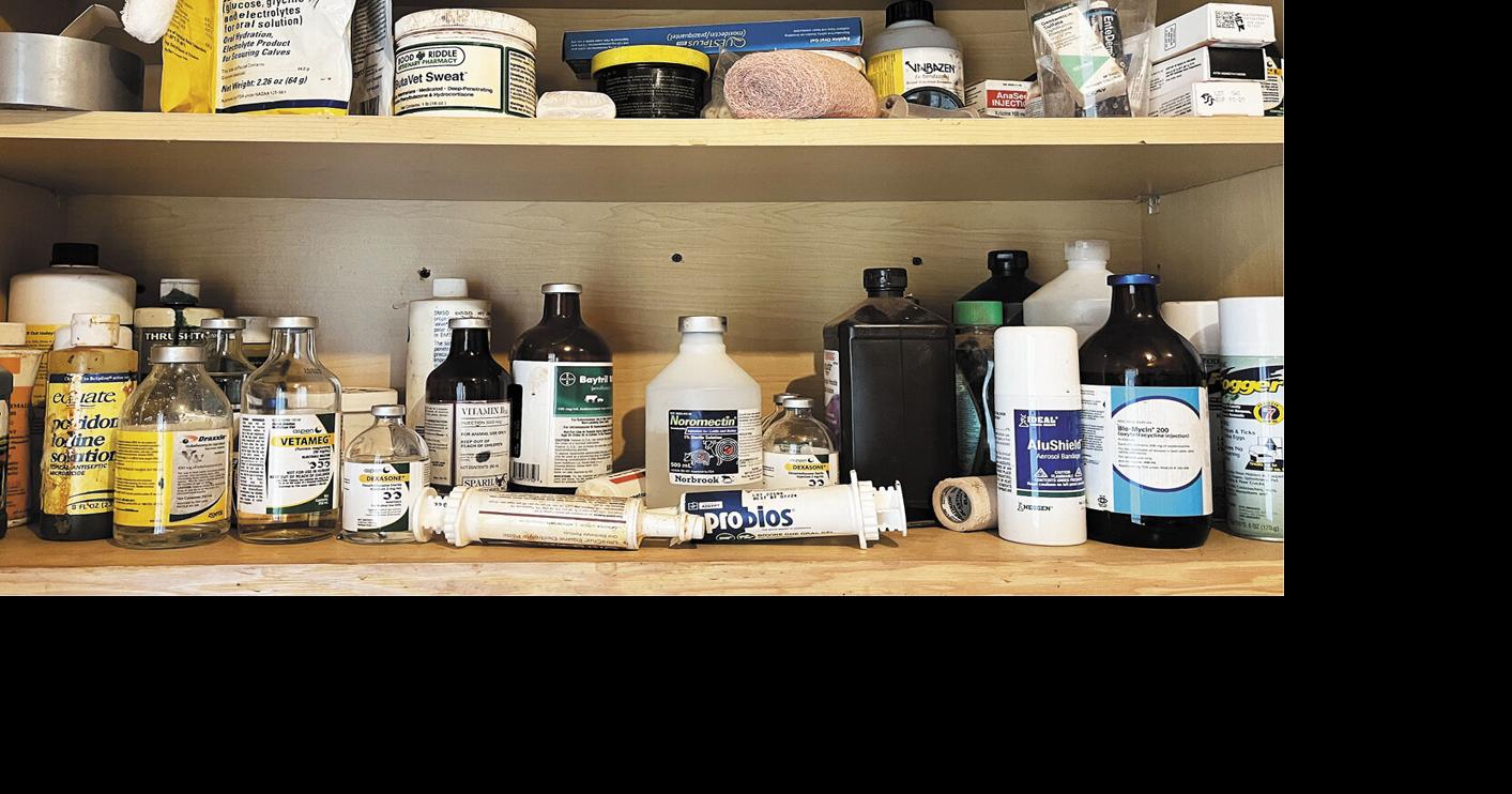 Making Herd Health More Effective with Proper Medication Storage and ...