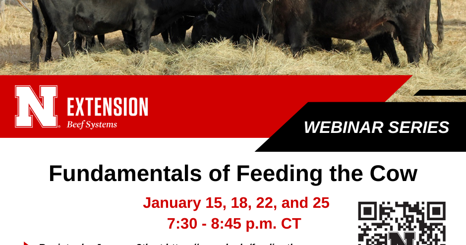 Fundamentals of Feeding the Cow Webinar Series | Cow/Calf Corner ...