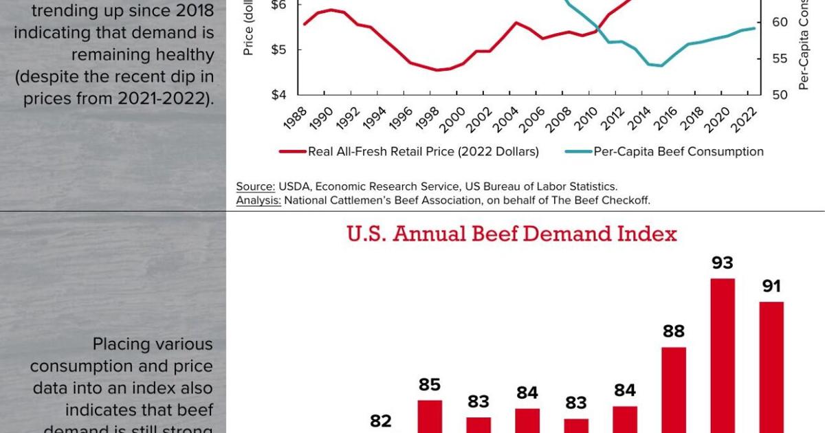 Consumer Beef Historical Relationship Between Beef Prices and Consumption | Beef News ...