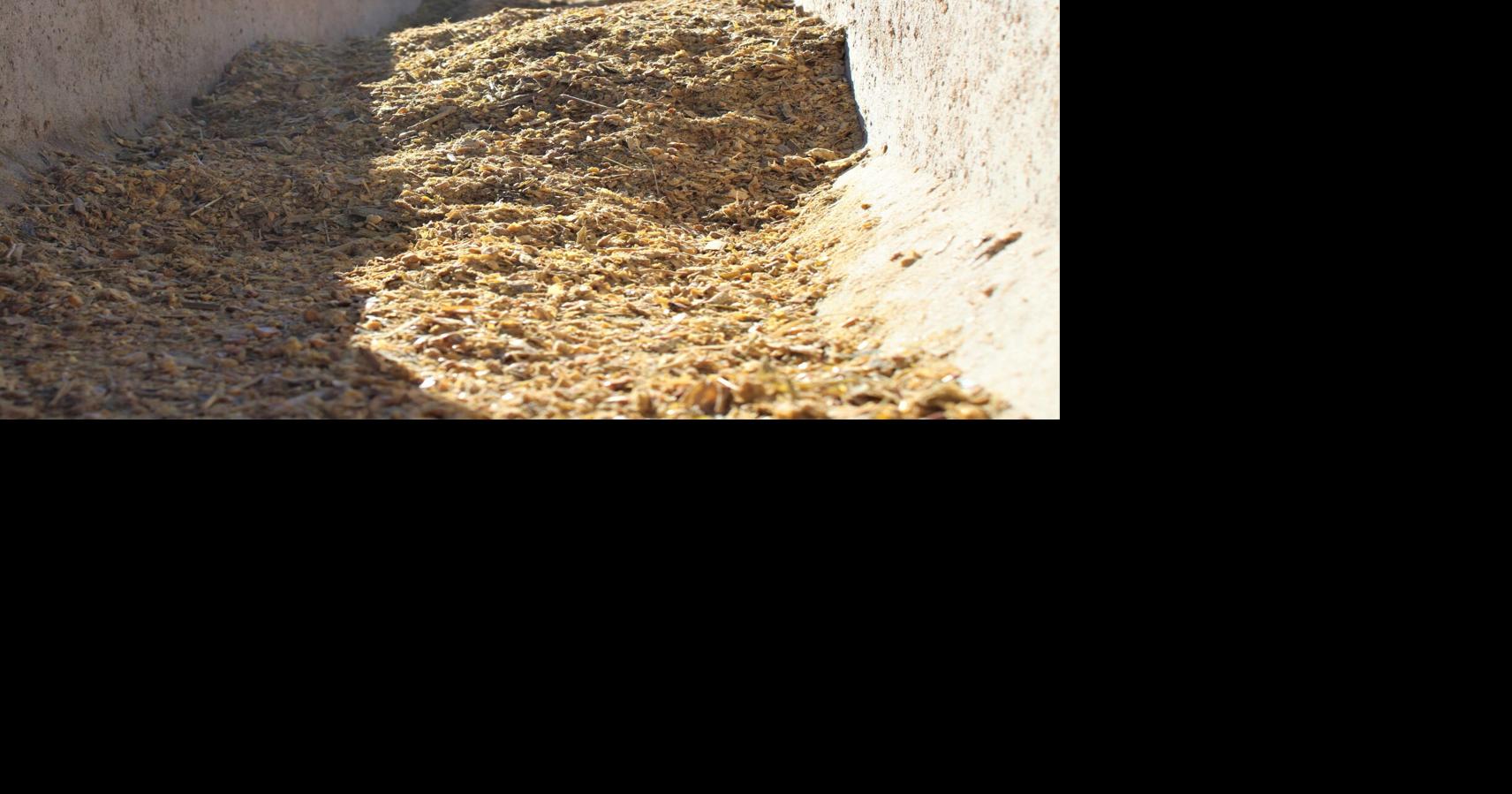 What’s In A Feedlot Diet Feedlot Special