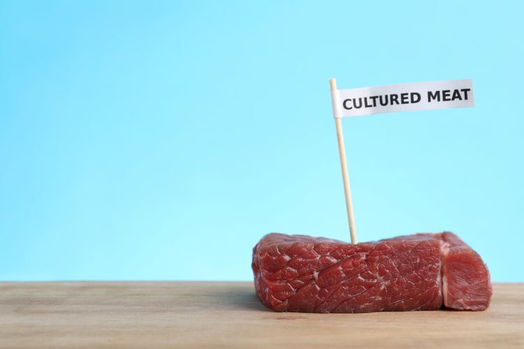 Dear Congress: There is No Meat in Fake Meat - Texas Cattle