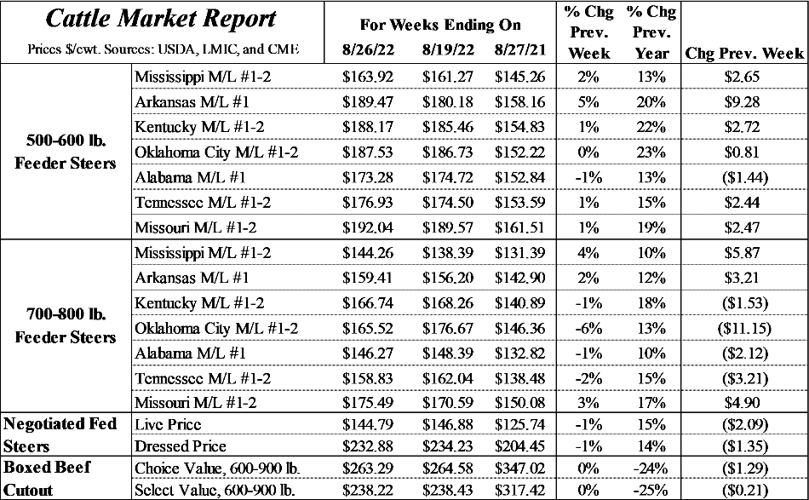 Feeder Cattle Prices Gaining Strength Industry News