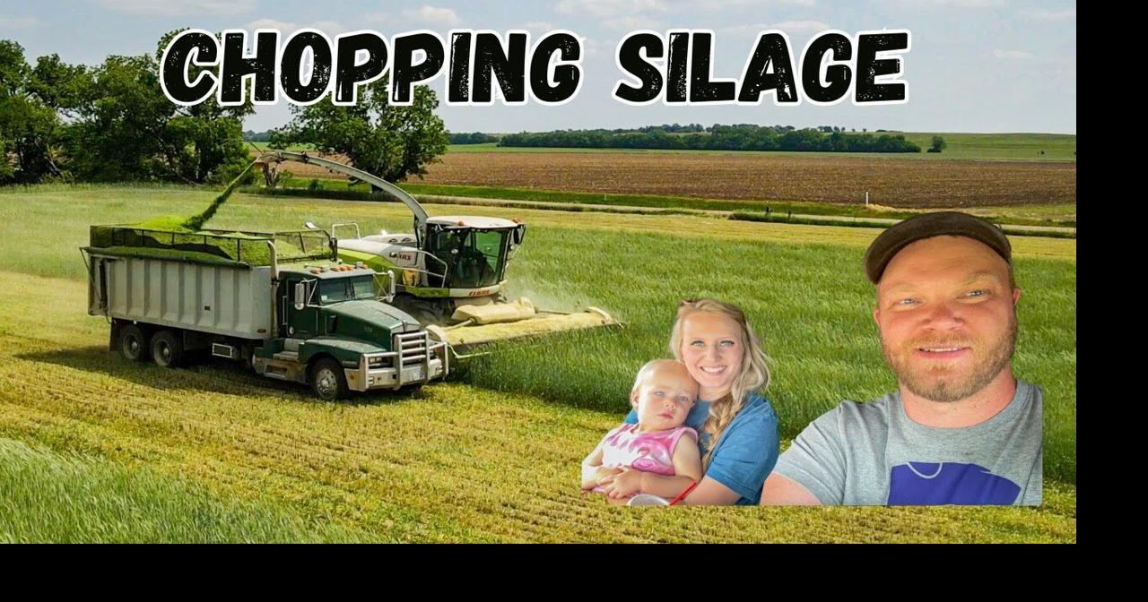 How Do Farmers Make Cattle Feed? Chopping Cereal Rye Multimedia