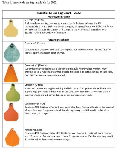 Horn Flies: Impact and Control Options for Pastured Cattle | Cow/Calf ...