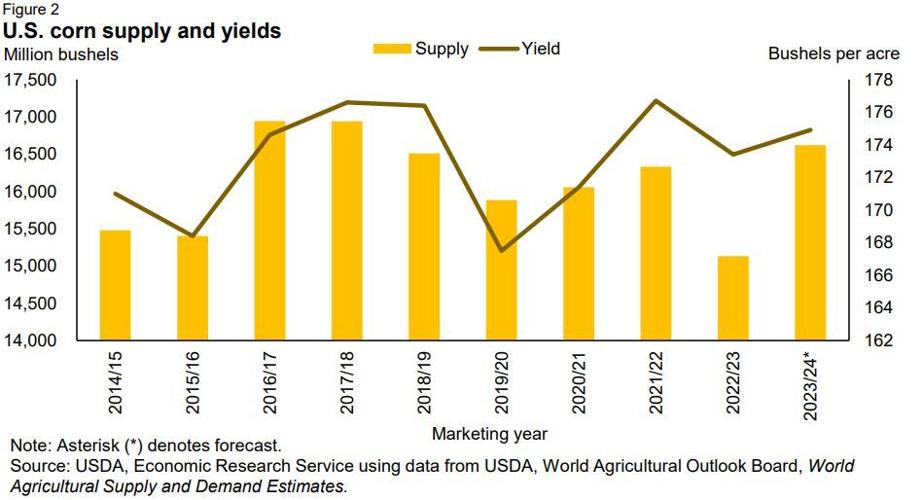 Higher 2023/24 U.S. Corn Yields Boost Total Feed Grain Supply Industry News
