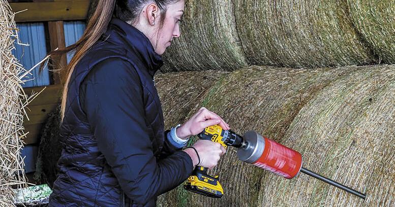 Hay Sampling 101 Know the Value of What You’re Feeding | Management ...