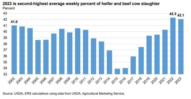 Ratio of Heifers and Beef Cows in Slaughter Mix Near-Record in 2023 ...