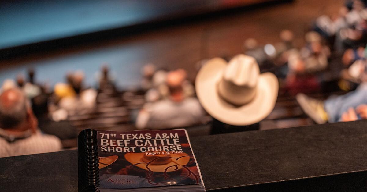 Registration Open for Texas A&M Beef Cattle Short Course Aug. 3-5
