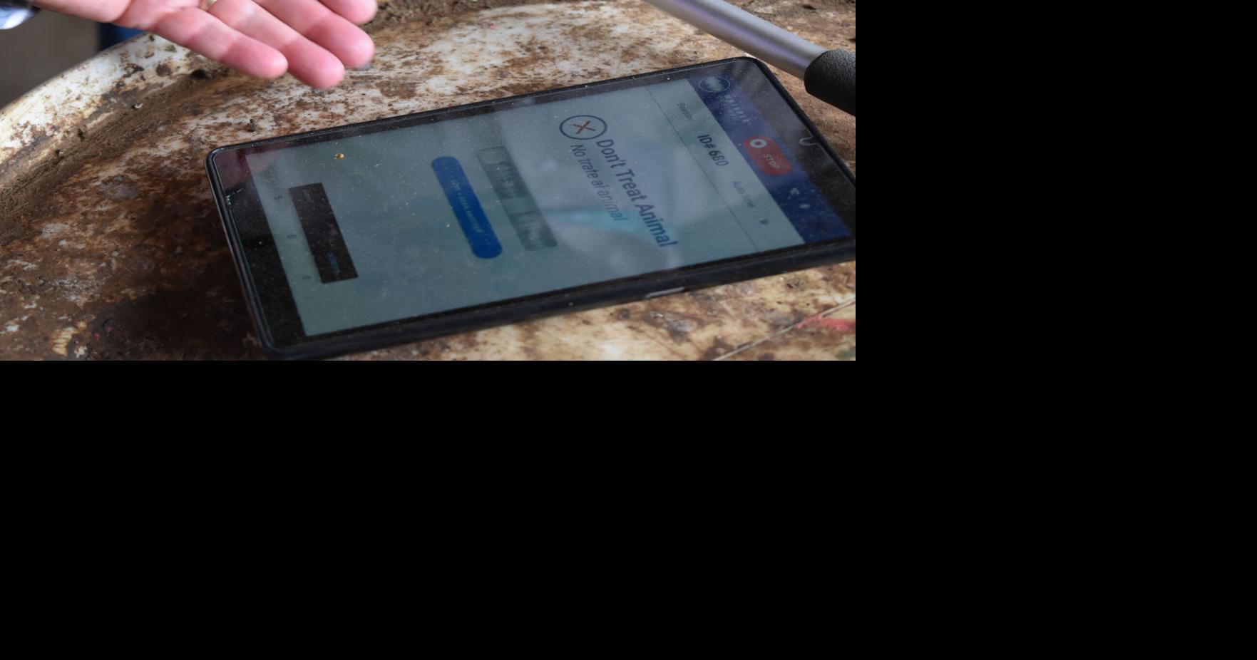 Software for Beef Cattle Operations Using data to make profit-driven ...