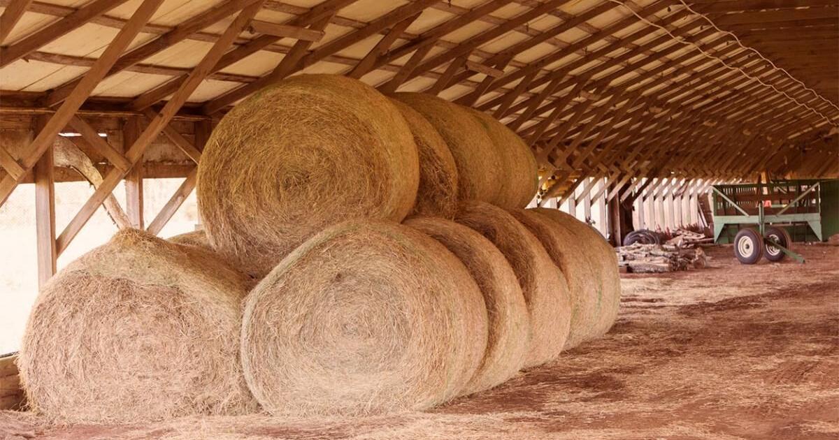 Hay Management System Benefits of Proper Hay Storage | Management | feedlotmagazine.com
