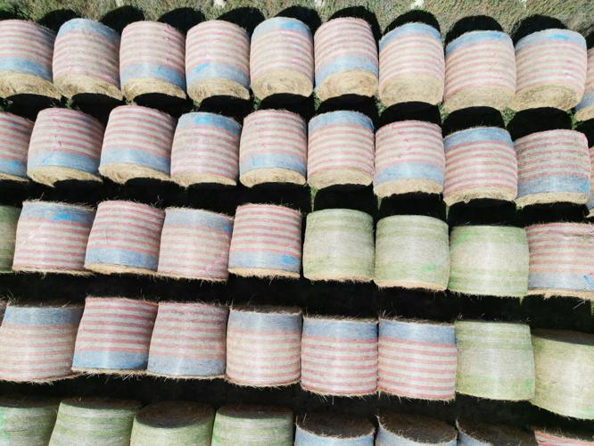 Ed Hay High Demand Dwindles Hay Supplies as Dry Weather Persists | Industry ...