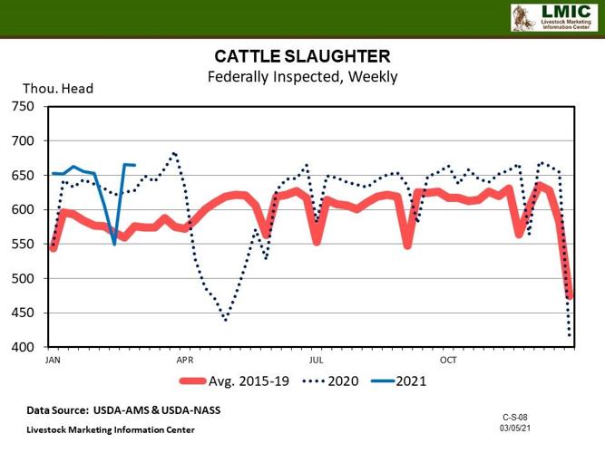 Cold Weather Slaughter Disruptions News