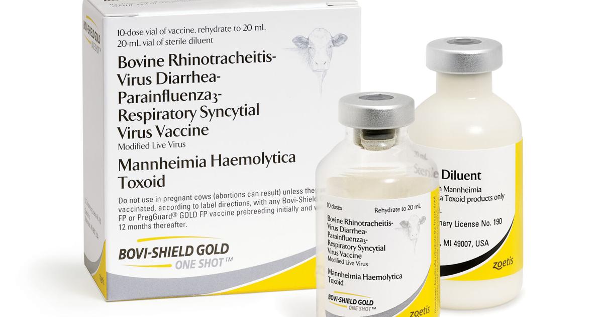 Zoetis Introduces BOVI SHIELD GOLD ONE SHOT Company News zoetis-introduces-bovi-shield-gold-one-shot-company-news