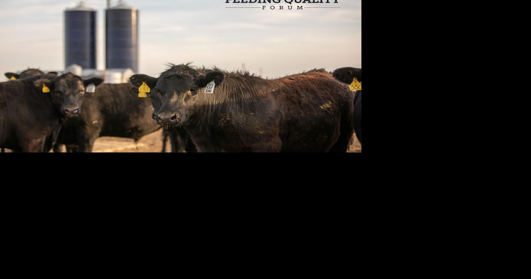 Register Now for Feeding Quality Forum Feedlot Special