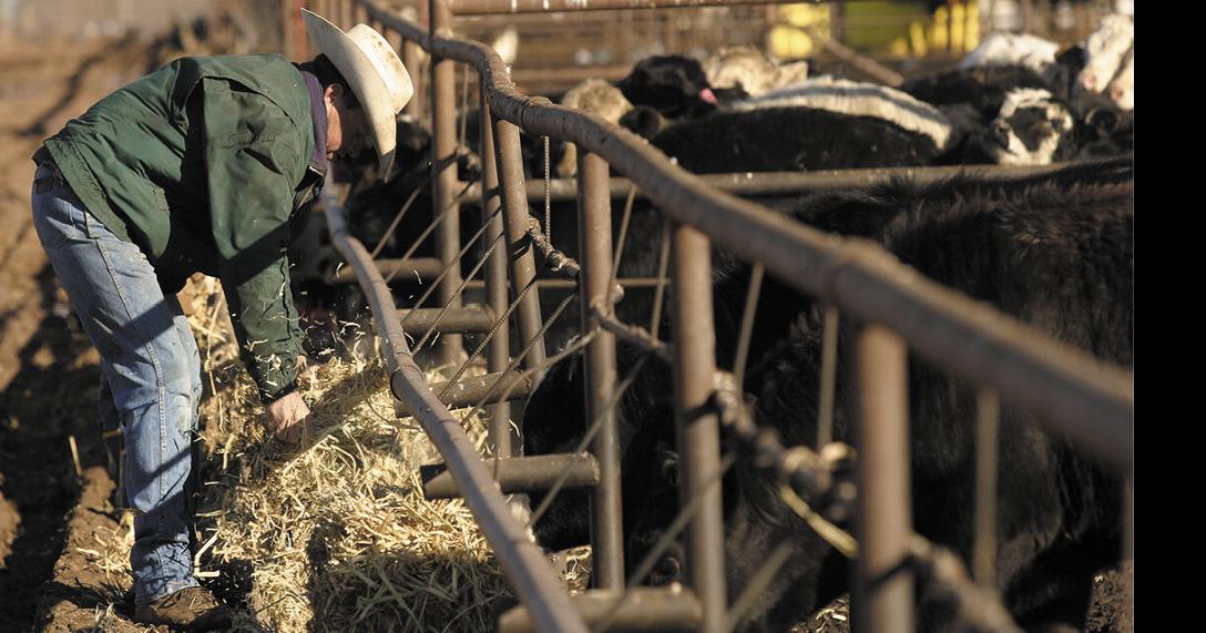 Fall Run is Fast Approaching Are You Ready? Feedlot Special