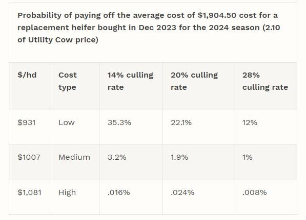 What Are Replacement Heifers Worth In 2024 Cow Calf Corner   65ae8c7f4c2fb.image 