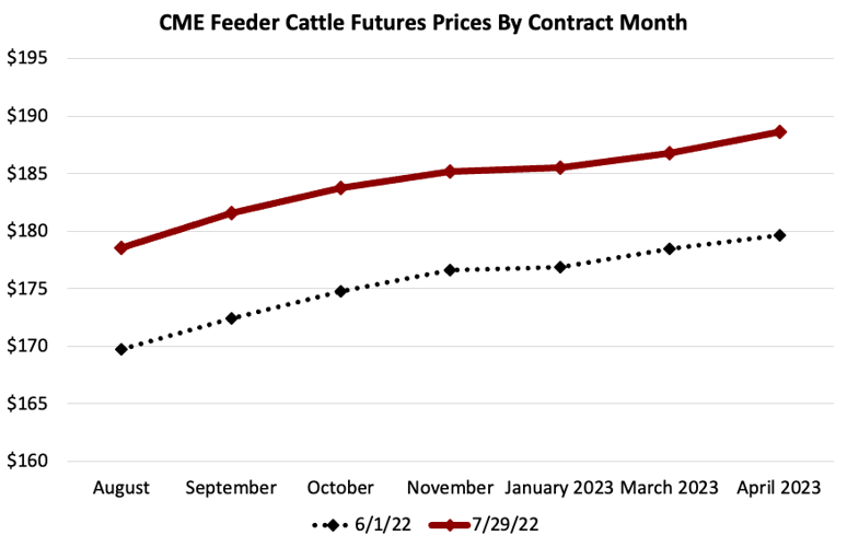 Feeder Cattle Futures Market Prices Industry News