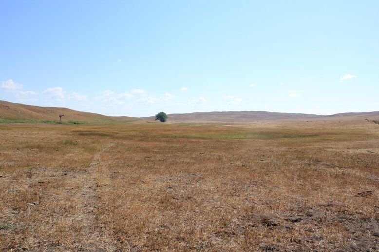 When Drought-Stressed Pastures Looked Dormant In July | Cow/Calf Corner ...