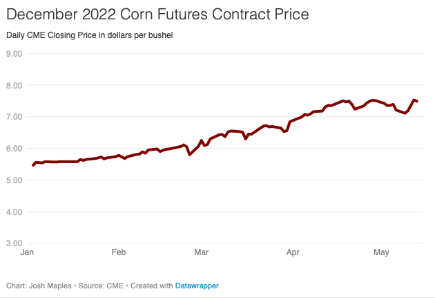 Graph Dec 22 Corn Futures