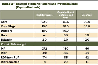 Navigating Protein Nutrition And By-products For Beef Cattle ...