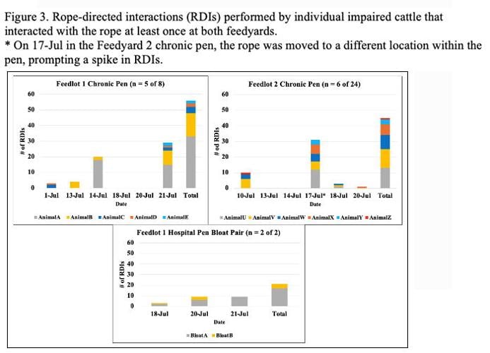 Interview Rope Test Using a Simple Behavioral Rope Test to Monitor Impairment Status and ...