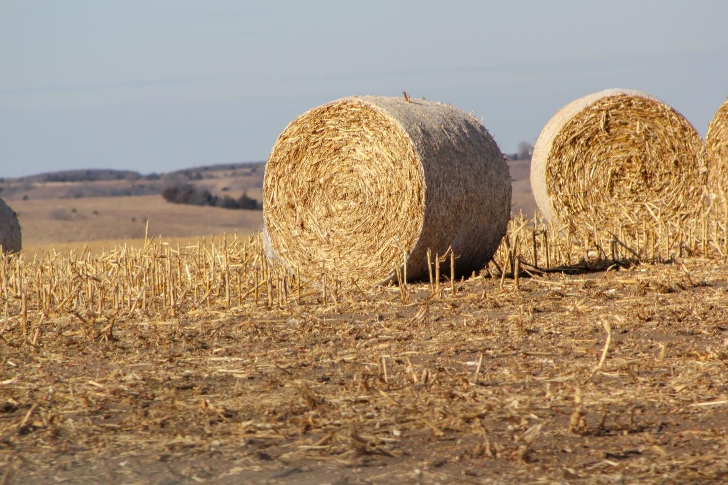 Valuing Corn Stalk Bales Management