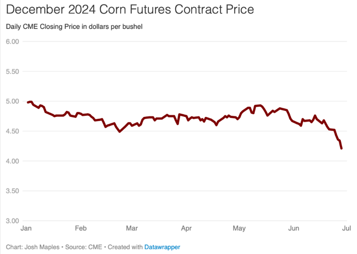 Acreage and Stocks Estimates Push Corn Prices Lower | Industry News ...