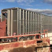 Beef Quality Assurance (BQA) and BQA Transportation Certification Beef Quality Assurance (BQA) and BQA Transportation Certification