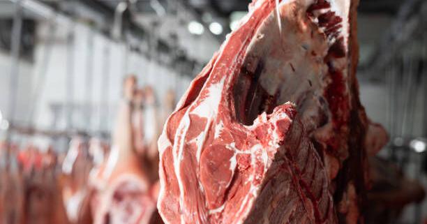 Texas A&M Agricultural Economists: Expect Stable Meat Prices This Summer