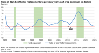 Cattle Report Marks 50-Year Decline in Herd Size, Which Is Likely To ...