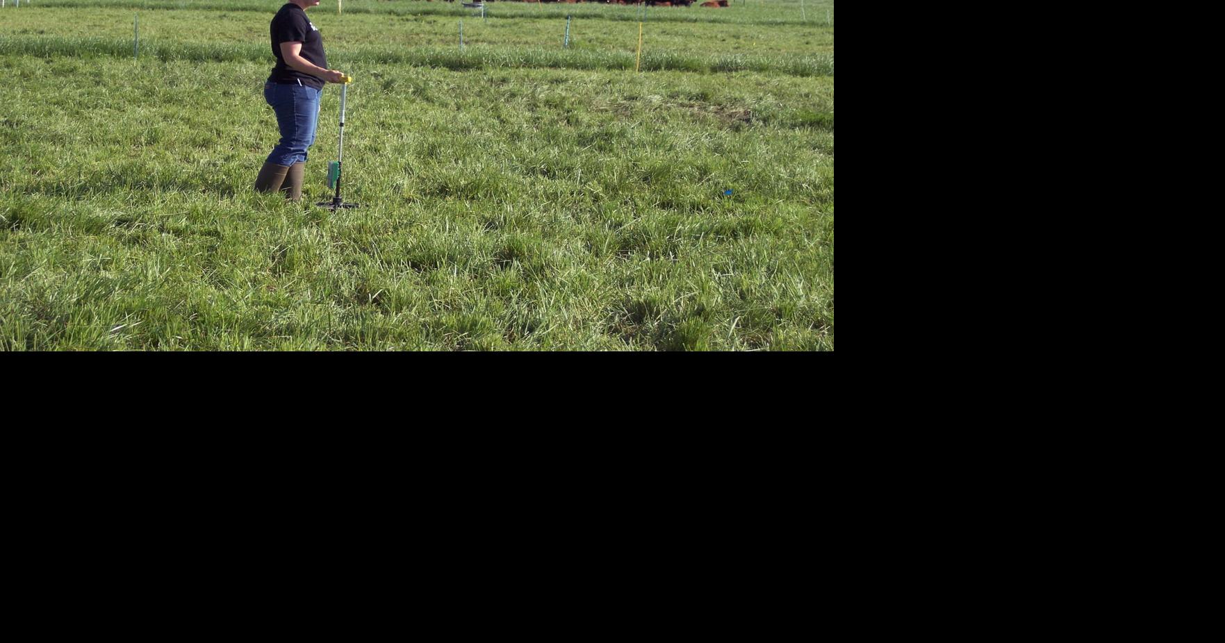 10 Tips to Bulletproof Your Beef Operation | Management ...
