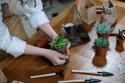 5 Items Every Garden Needs