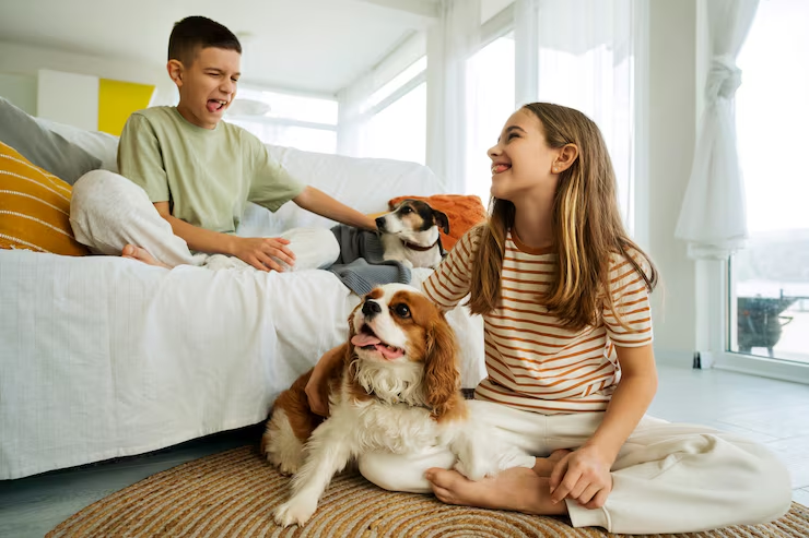 Stylish Pet Products for a Beautiful Home With Pets