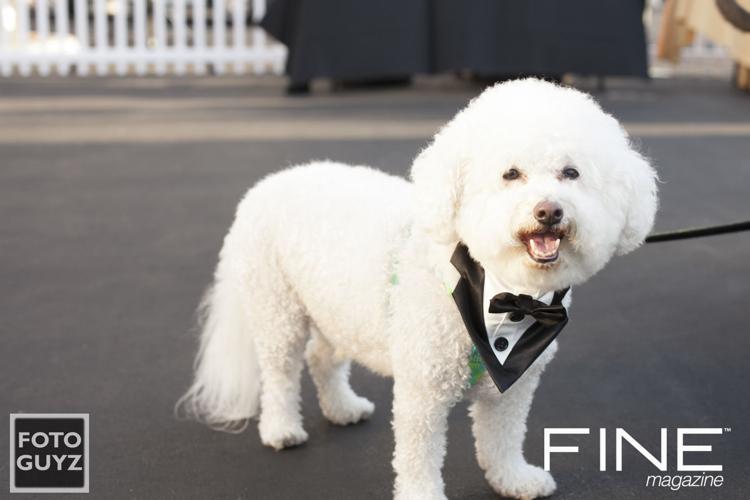 Photos by Will Grayson of Foto Guyz