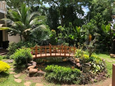 This backyard pond's water is crystal clear because of clarifiers