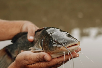 Freshwater vs. Saltwater Fishing: The Best Locations for Every Angler