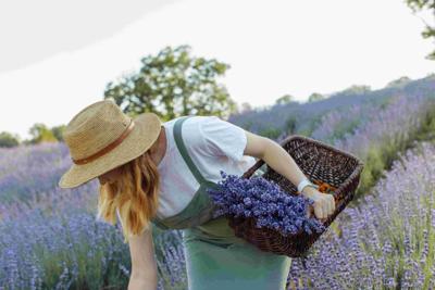 The 5 Most Popular Low-Maintenance Outdoor Plants