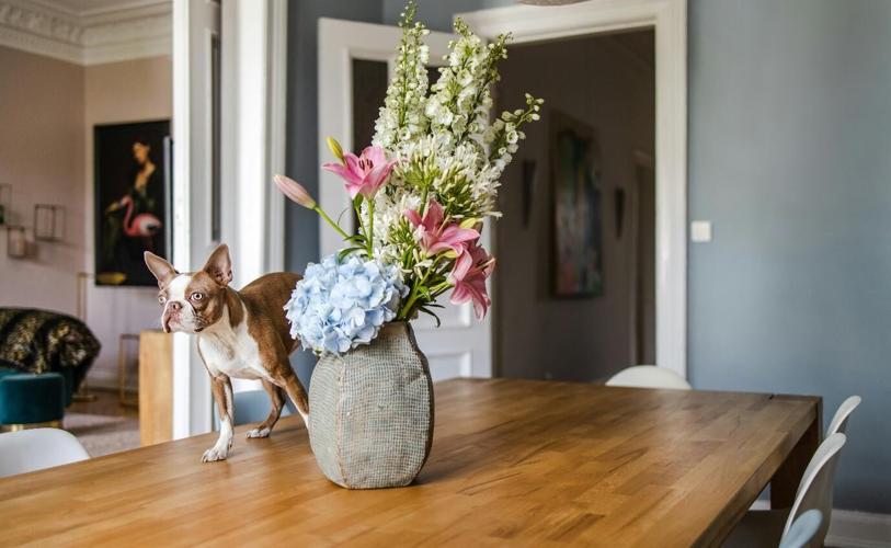 Bringing Occasions to Life: Creative Ways to Decorate Your Home with Flowers for Events