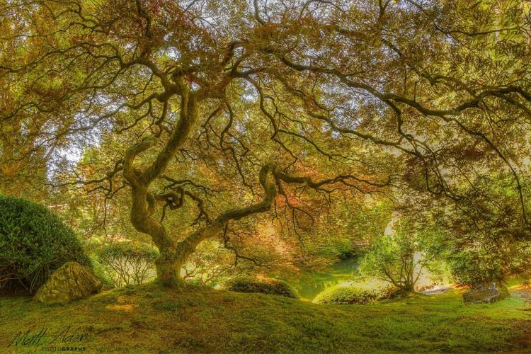 Matt Aden Photography: Capturing the Natural Beauty of Southern California