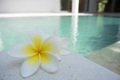Reasons You Need A Swim Spa