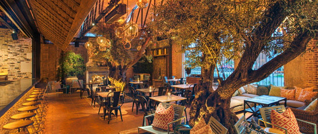 Harringbone La Jolla - A Weekend of Shuckin', Groovin', Ales and Acoustics