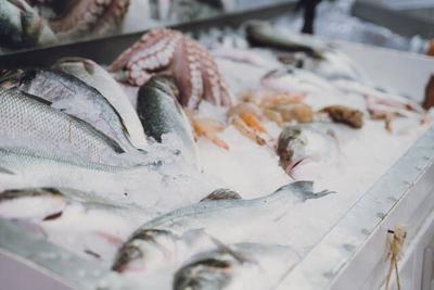 Fish